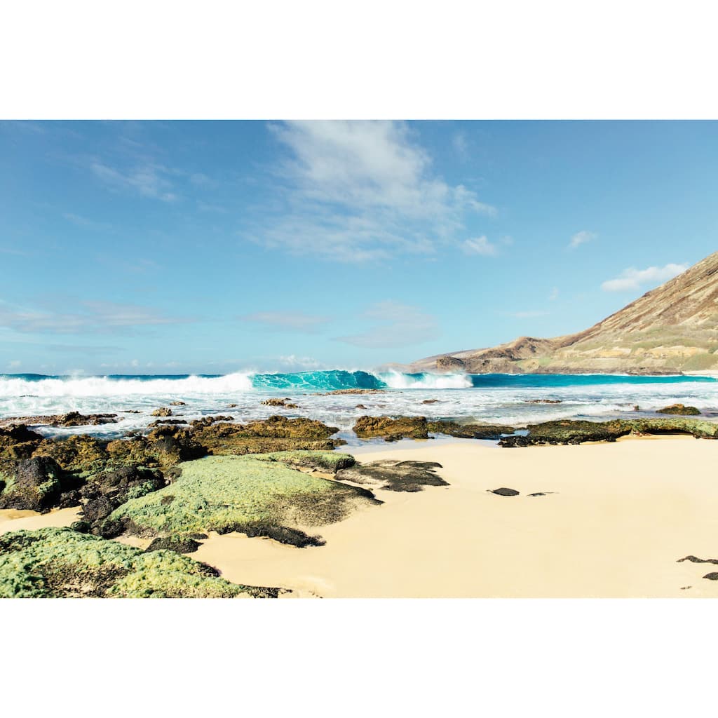 Marmont Hill - Multi-Color