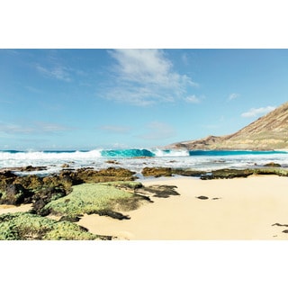 Hill - 'Palekaiko' Morgan J Hartley Print Canvas