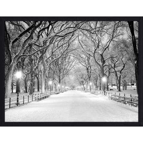 "Winter Park" Framed Plexiglass Wall Art