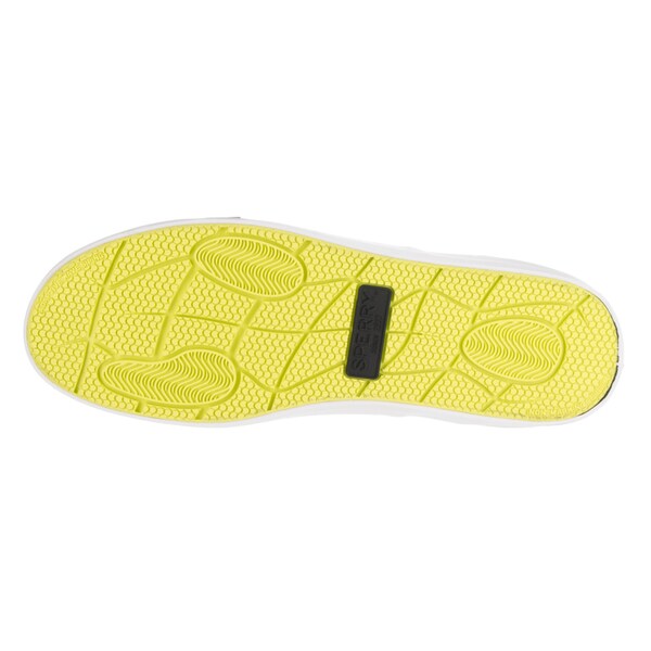 sperry flex deck water shoe