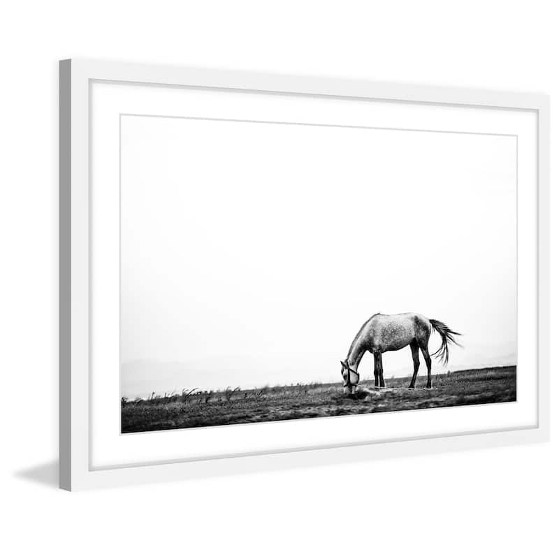 Marmont Hill - 'Lone White Equus' Framed Painting Print - Multi-Color