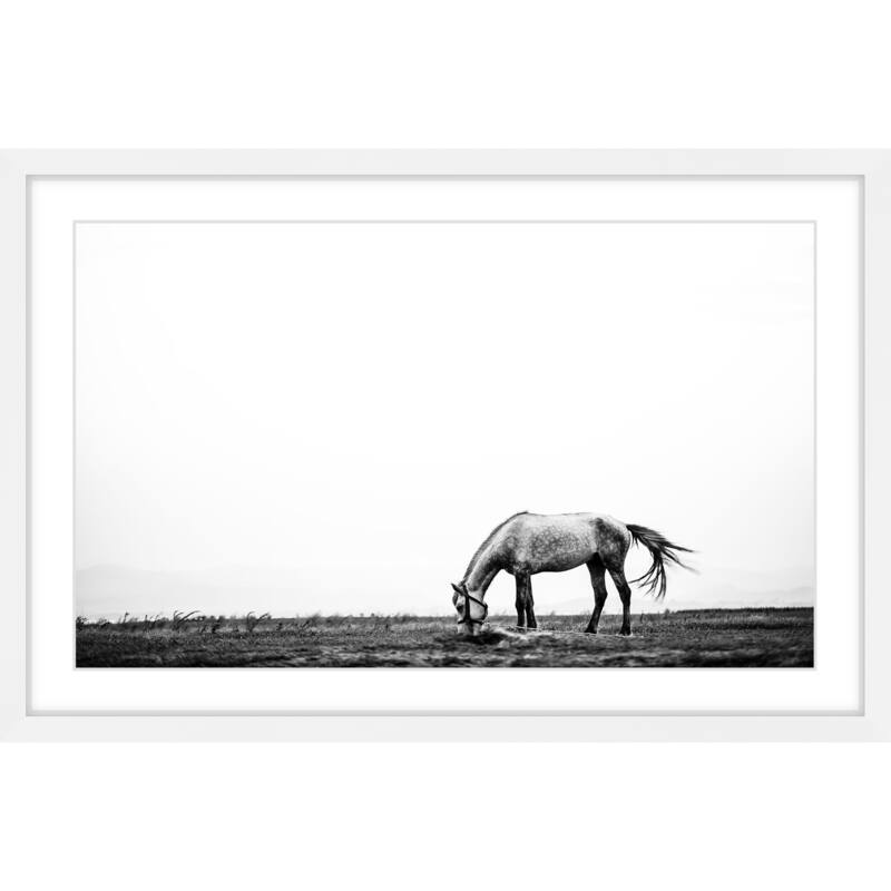 Marmont Hill - 'Lone White Equus' Framed Painting Print - Multi-Color