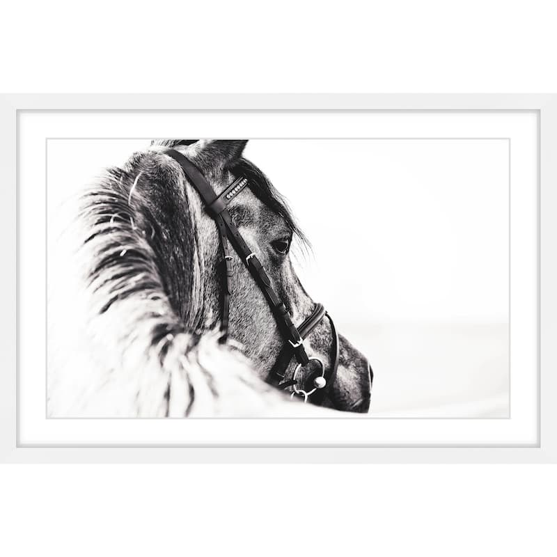 Marmont Hill - 'Equus Profile' Framed Painting Print - Multi-Color