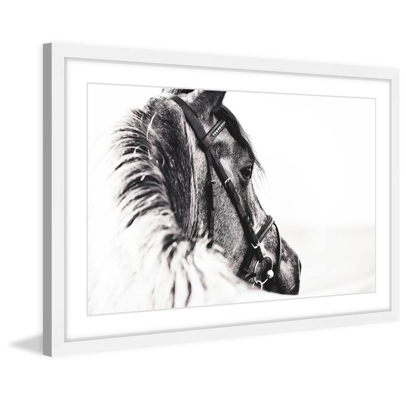 Marmont Hill - 'Equus Profile' Framed Painting Print - Multi-Color