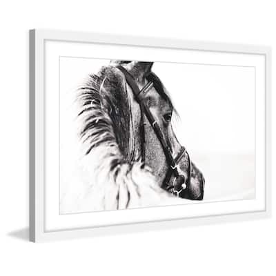 Marmont Hill - 'Equus Profile' Framed Painting Print - Multi-Color