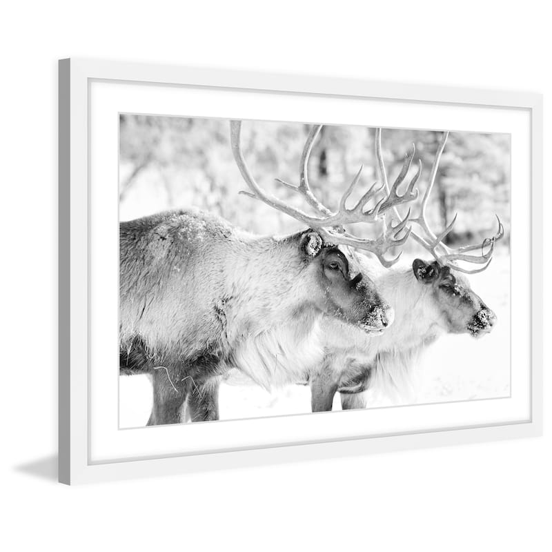 Marmont Hill - 'Elk Pair' Framed Painting Print - Multi-Color