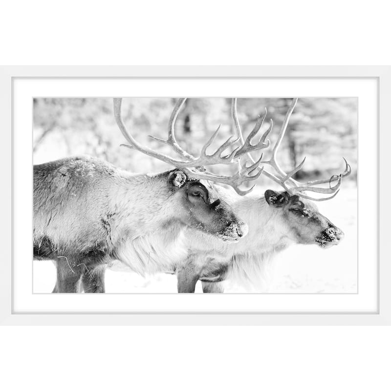 Marmont Hill - 'Elk Pair' Framed Painting Print - Multi-Color