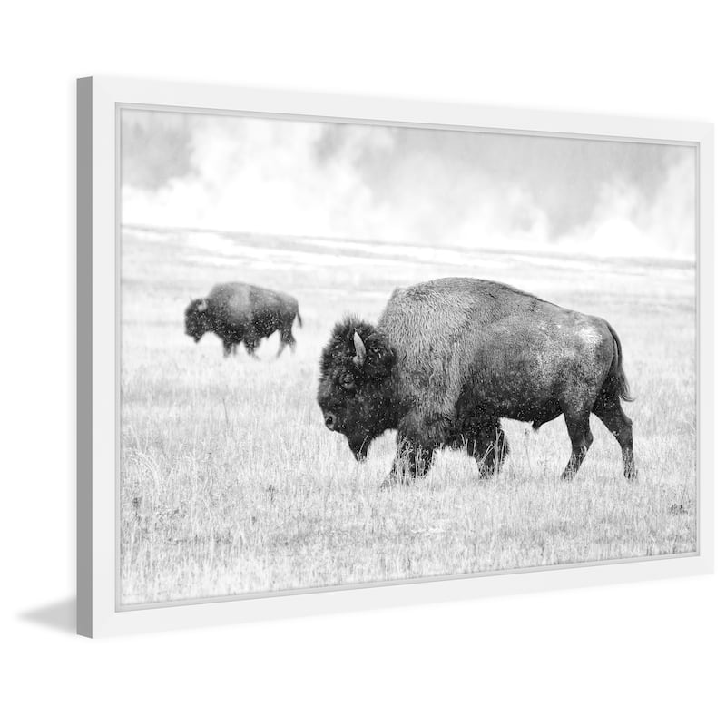 Marmont Hill - 'Buffalo Pair' Framed Painting Print - Multi-Color