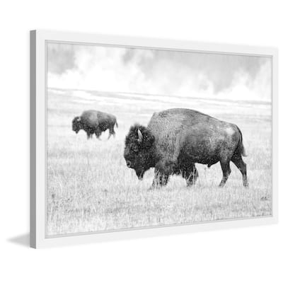 Marmont Hill - 'Buffalo Pair' Framed Painting Print - Multi-Color