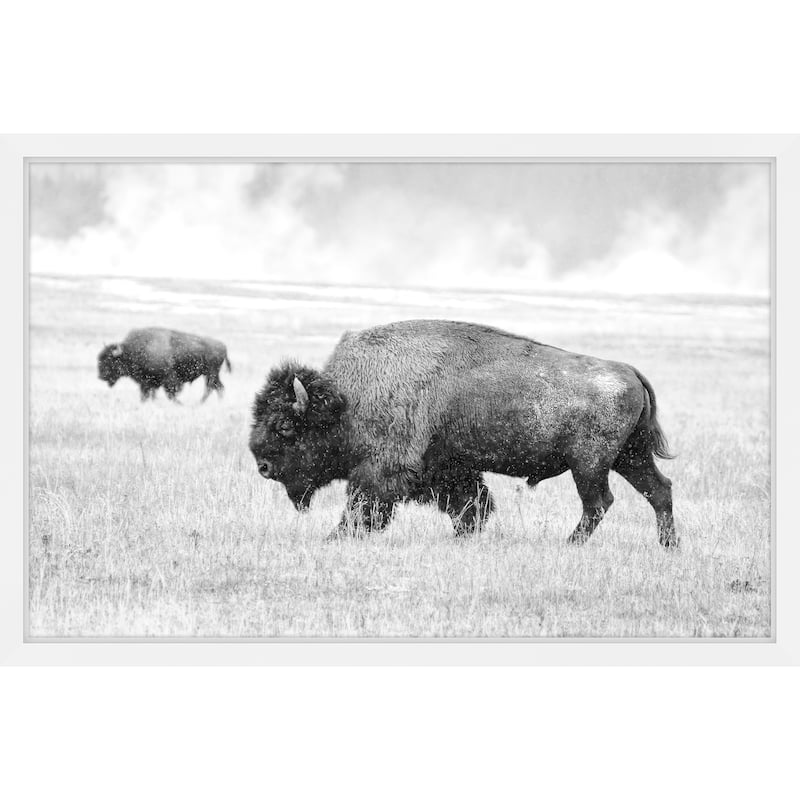 Marmont Hill - 'Buffalo Pair' Framed Painting Print - Multi-Color