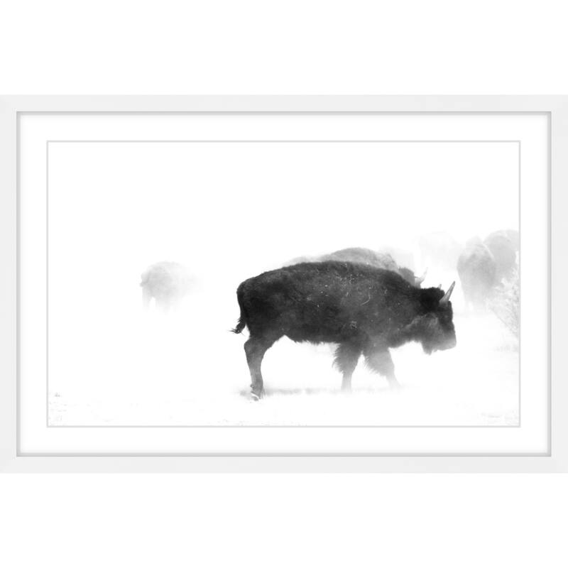 Marmont Hill - 'Buffalo Mist' Framed Painting Print - Multi-Color