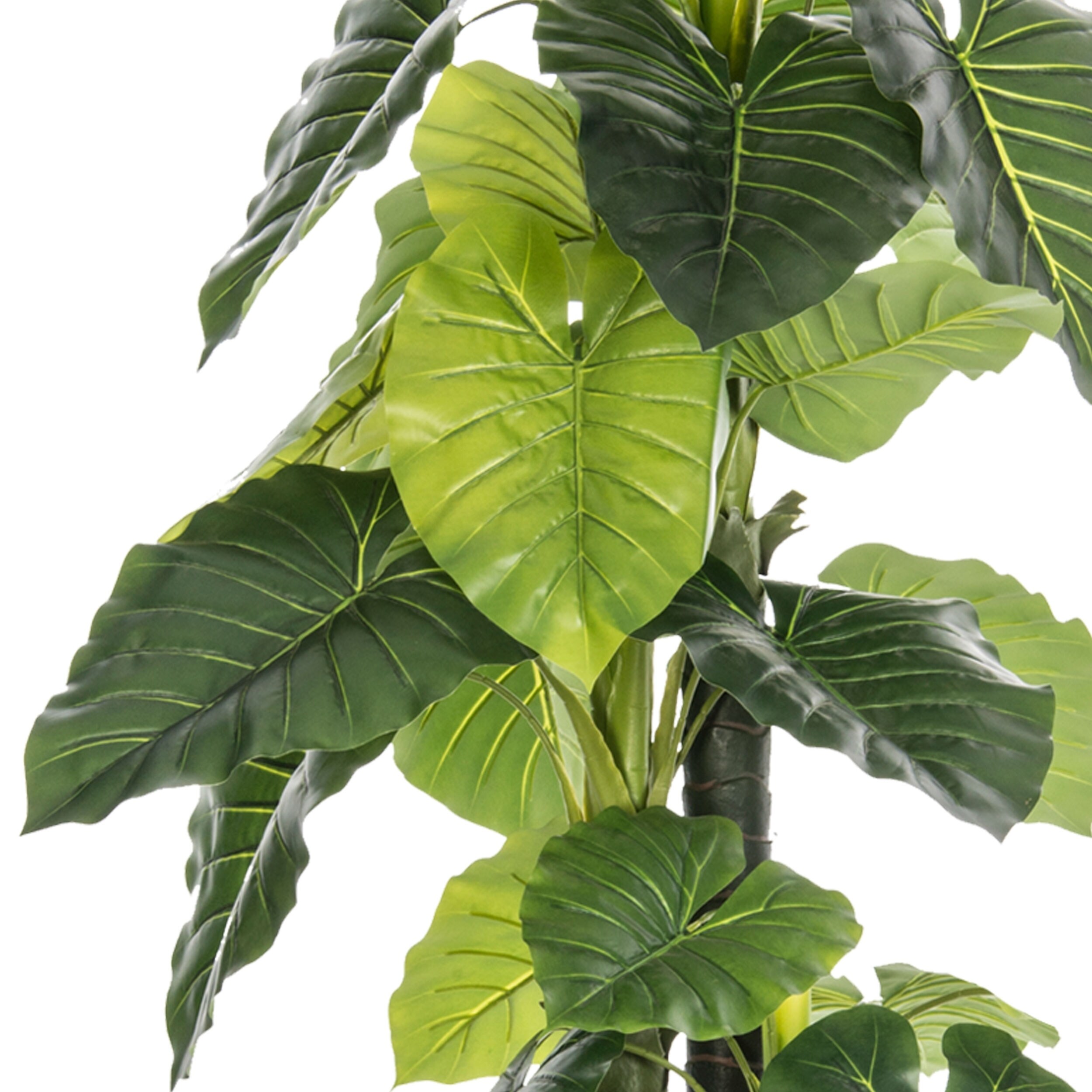 tall indoor plant pots Rioja Planter