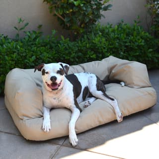 overstock pet supplies