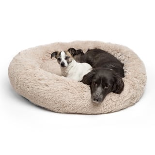 overstock pet supplies