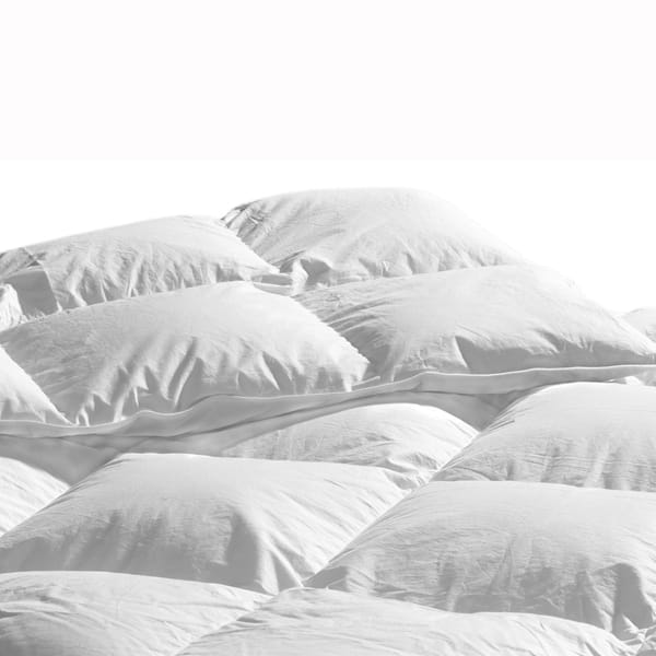 Shop Highland Feather Albany Organic Cotton White Down Comforter