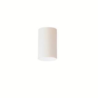 Kichler Lighting Contemporary 1-light White Indoor/Outdoor Flush Mount
