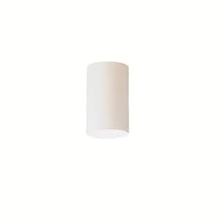 Kichler Lighting Contemporary 1-light White Indoor/Outdoor Flush Mount