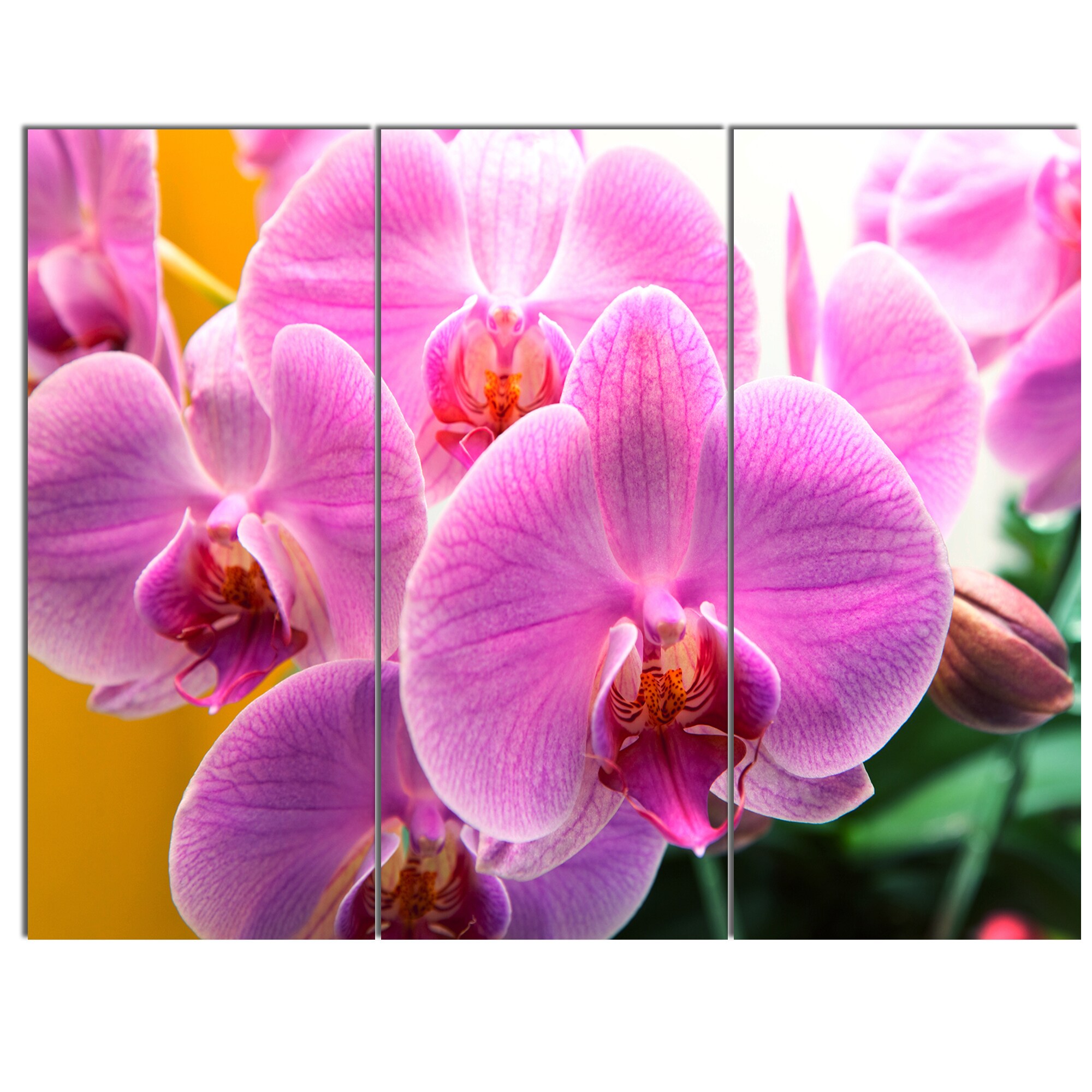 Shop Designart Beautiful Purple Orchid Flowers Large Flower Wall Artwork Free Shipping Today Overstock 13526147