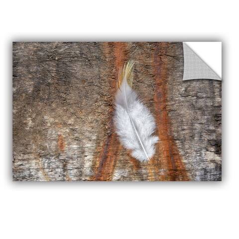 ArtAppealz Sagebrush Cora Niele's 'Downy Feather' Removable Wall Art Mural