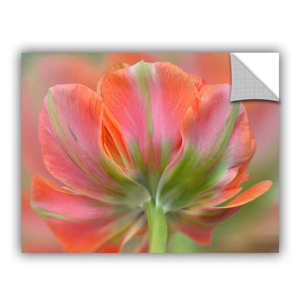 Artappealz Sagebrush Cora Niele's 'orange Pink Tulip' Removable Wall 