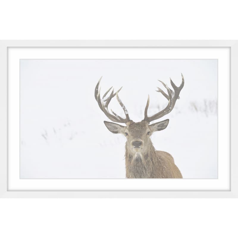 Marmont Hill - 'Buck Stare' Framed Painting Print - Multi-Color