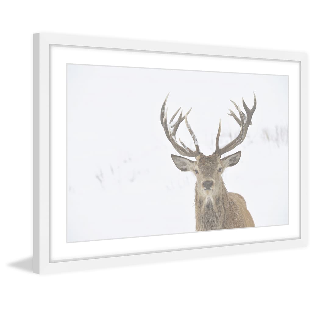 Marmont Hill - 'Buck Stare' Framed Painting Print - Multi-Color