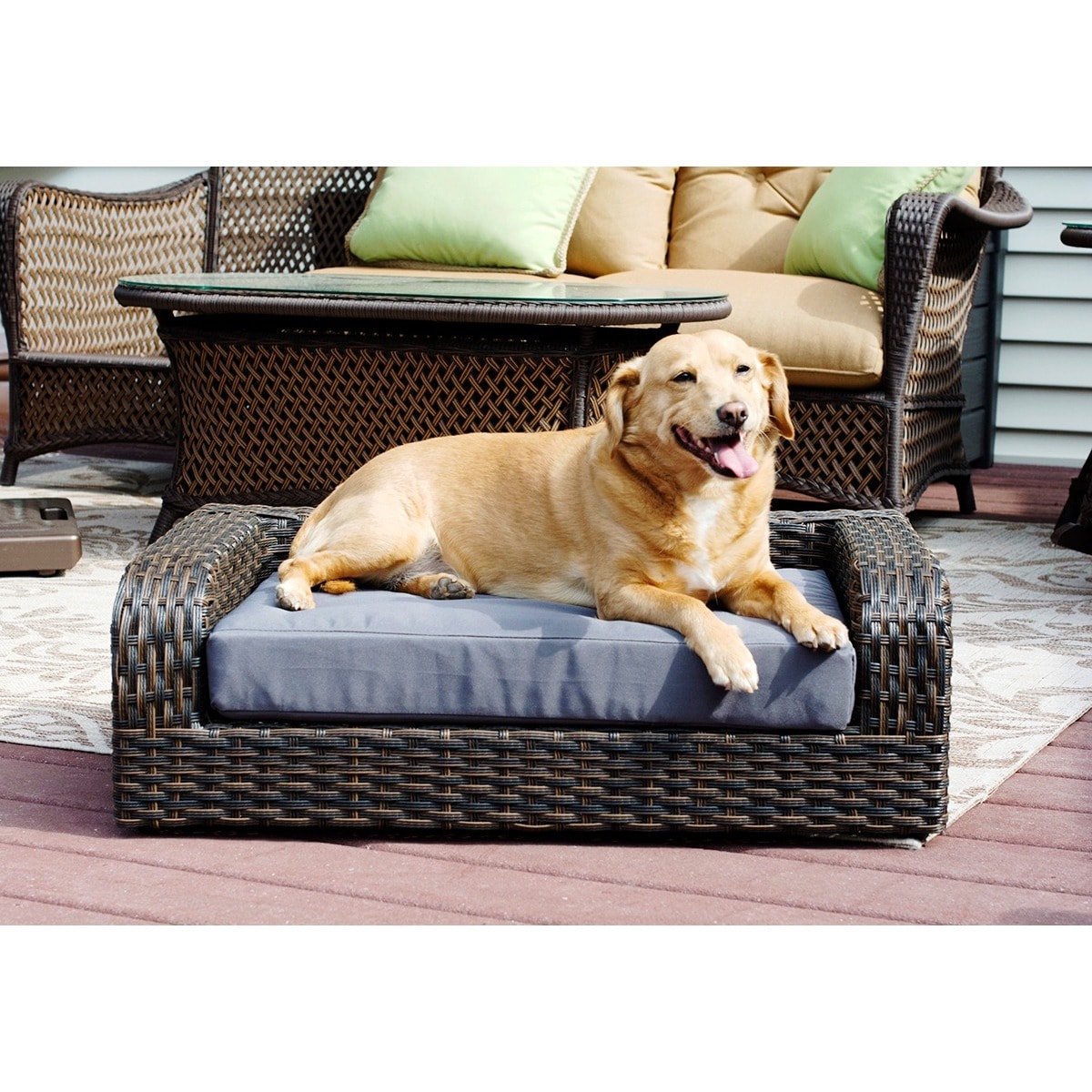 Pet Sofa Beds Bed Bath & Beyond