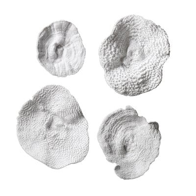 Uttermost Sea Coral Wall Art (Set of 4)