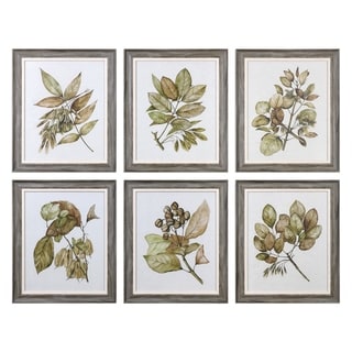 Uttermost Seedlings Framed Prints (Set of 6)