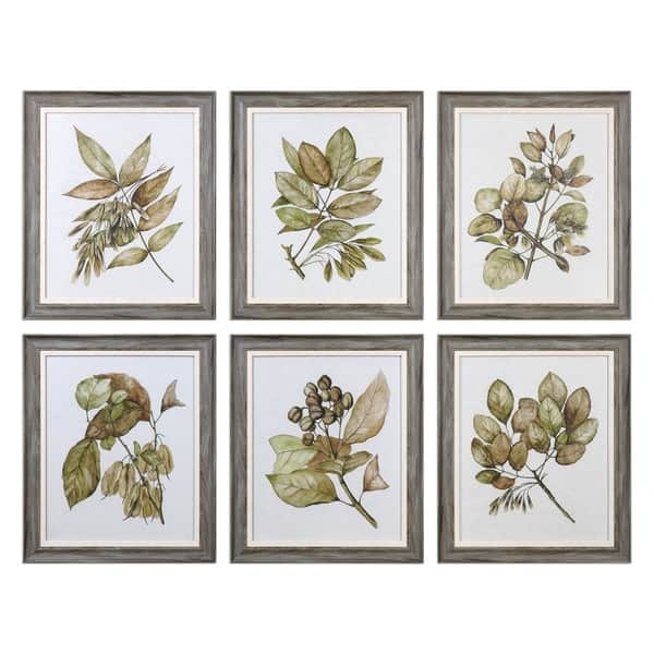 slide 2 of 2, Uttermost Seedlings Framed Prints (Set of 6)