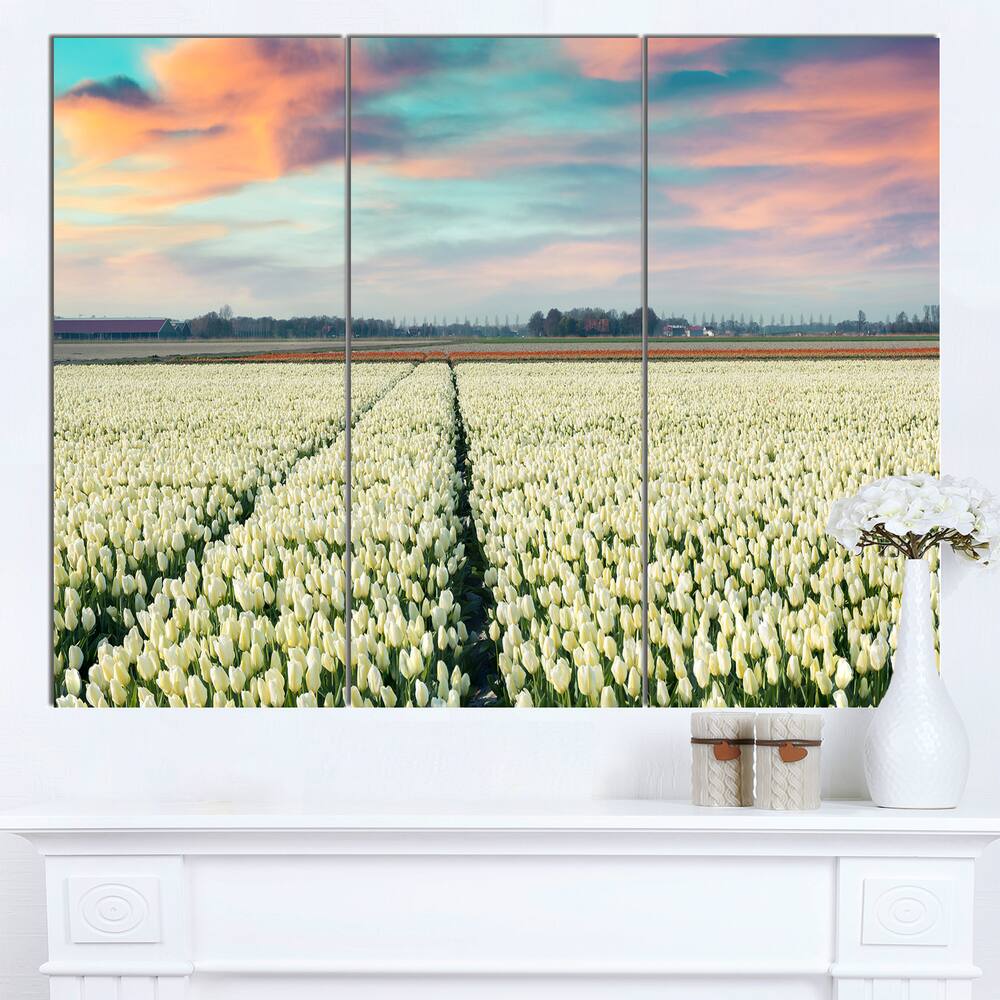 Designart Morning In Tulip Farm Near Espel Village Landscape Wall Art Print Canvas Bed Bath 2584