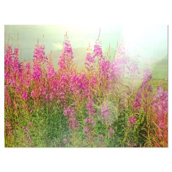 Shop Designart Meadow With Little Purple Flowers Floral Metal