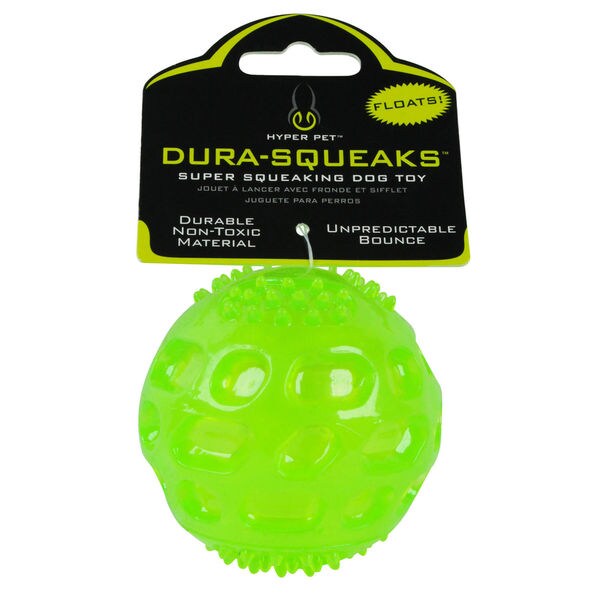 dura squeaks
