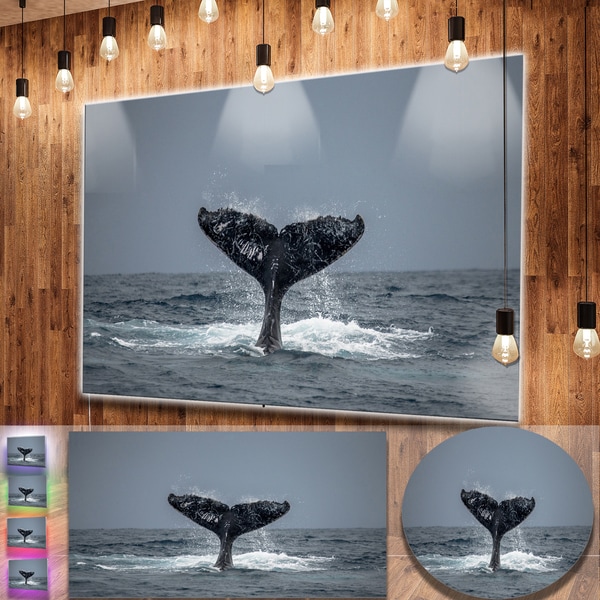 Designart Large Humpback Whale Tail Oversized Animal Metal Designart X27 Large Humpback Whale Tail Oversized Animal Metal Wall
