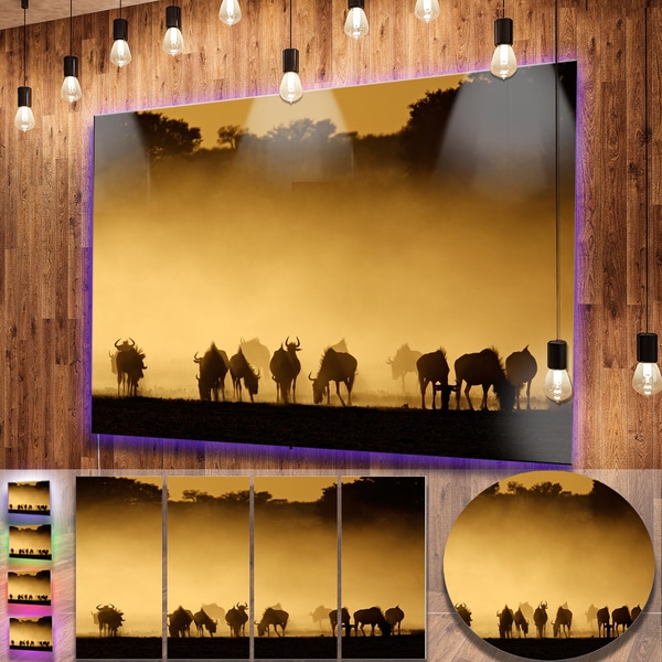 Designart 'Discontinued product' African Metal Wall Art Print