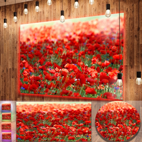 Shop Designart 'Thick Red Poppy Flower Field' Large Flower