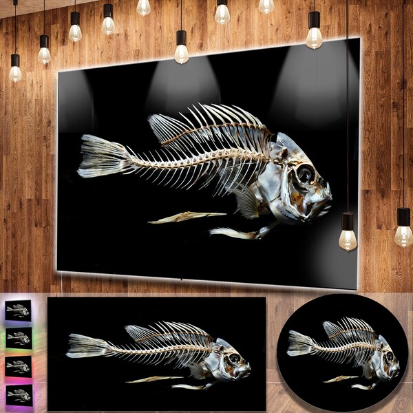 Designart Fish Skeleton Bone On Black Large Animal Metal Wall Designart X27 Fish Skeleton Bone On Black Large Animal Metal