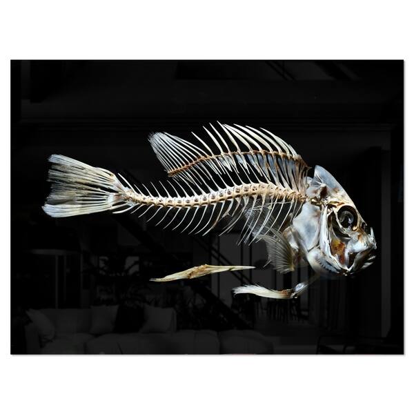 Shop Designart Fish Skeleton Bone On Black Large Animal Metal Wall Art Overstock 13622584