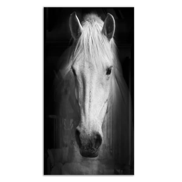 Designart 'White Horse Black and White' Extra Large Animal Metal Wall ...