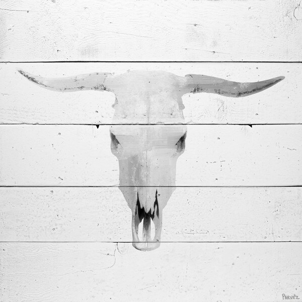 Handmade Parvez Taj - Boho Skull Gray Print on Reclaimed Wood