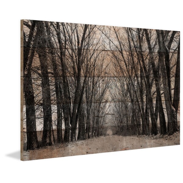 Handmade Parvez Taj - Tree Path Print on Reclaimed Wood