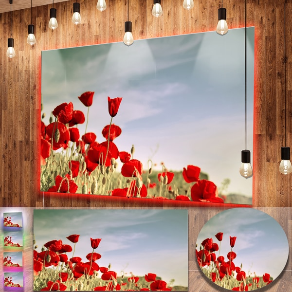 Shop Designart 'Flourishing Red Poppies' Large Flower Metal Wall Art
