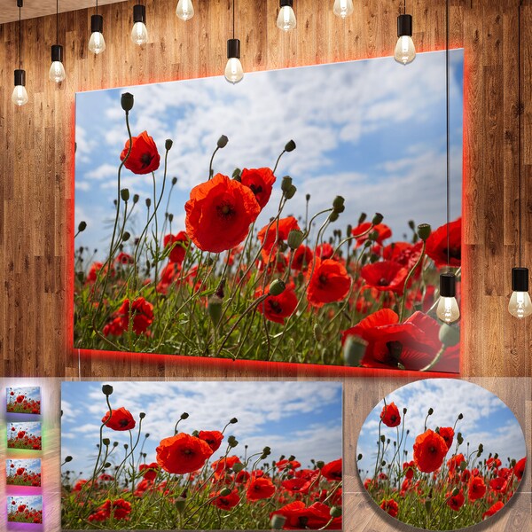 Shop Designart 'Bright Red Poppy Flowers Photo' Flower Metal Wall Art