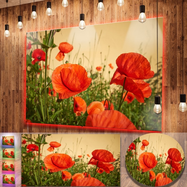 Shop Designart 'Colorful Red Poppy Flower Field' Flower Metal Wall Art