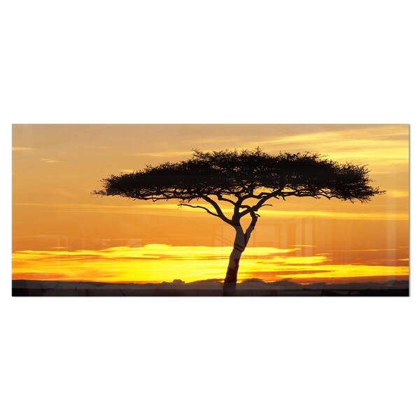 Shop Designart 'Beautiful Sunset Through Acacia Tree ...