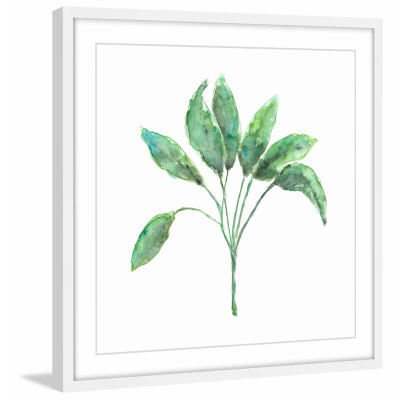 Marmont Hill - 'Sage Herb' by Thimble Sparrow Framed Painting Print - Multi-Color