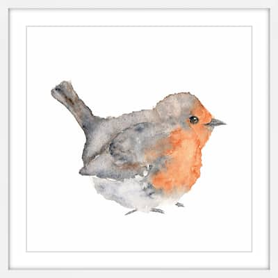 Marmont Hill - 'English Robin' by Thimble Sparrow Framed Painting Print - Multi-Color