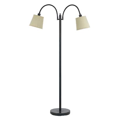 Gail Brown Metal 2-light 40-watt Goose Neck Floor Lamp