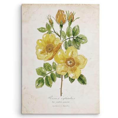 Wexford Home 'Botanical IV' Multicolored Canvas Wall Art