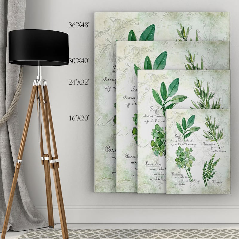 Carol Robinson 'Fresh Herbs II' Gallery Wrapped Canvas Wall Art
